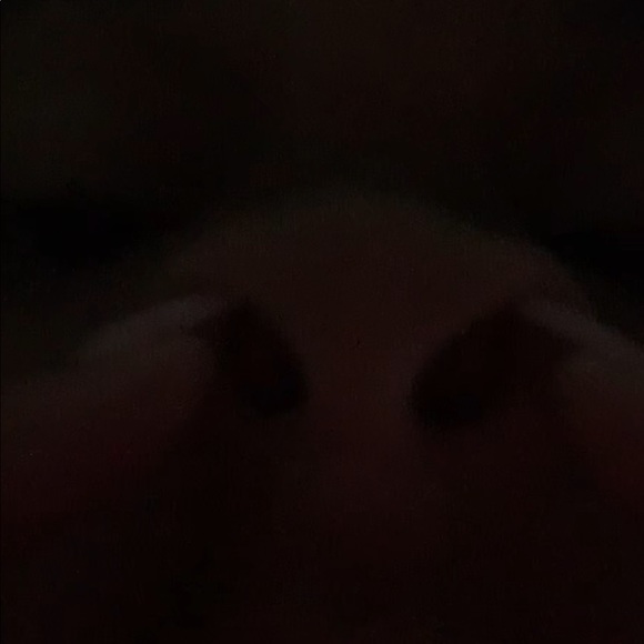 deyluvnyaa